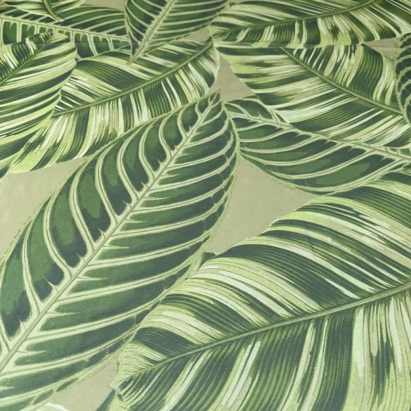 Tecido Musseline Estampada Folhagem Tropical Verde Oliva • Conexão