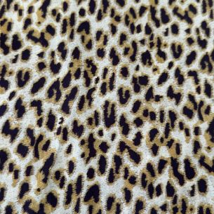 TECIDO CETIM DE SEDA ANIMAL PRINT • Conexão Tecidos 2