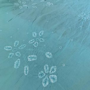 LINHO PURO TYFANNY TRABALHADO • Conexão Tecidos