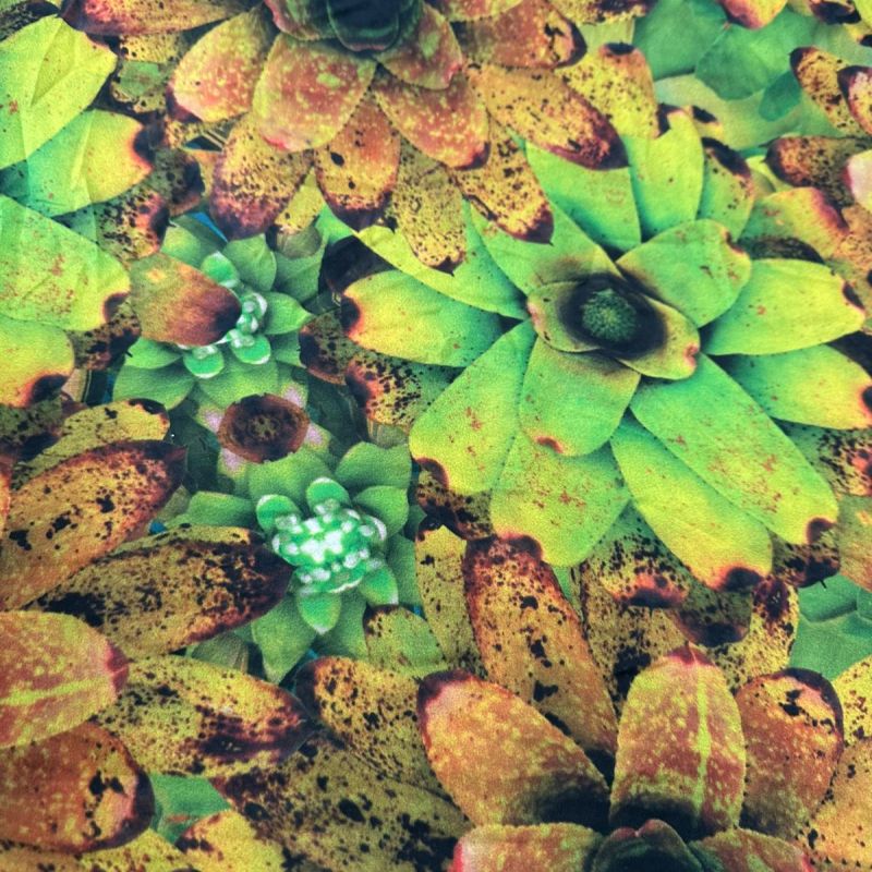 Tecido Cetim Toque De Seda Estampa Exclusiva Sol Tropical • Conexão