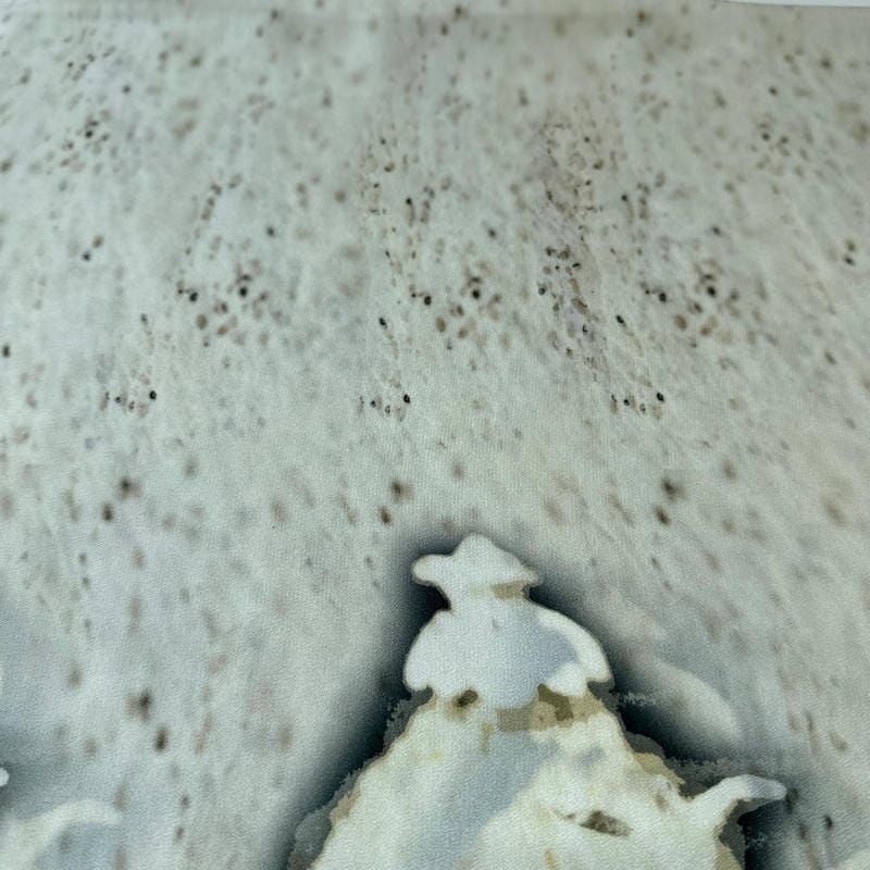 Tecido Crepe de Chine Estampado Art Figure Mono • Conexão Tecidos